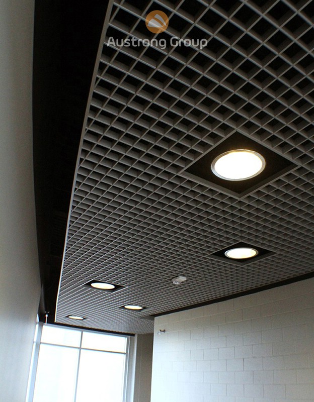 Aluminium Cell (caro) ceiling