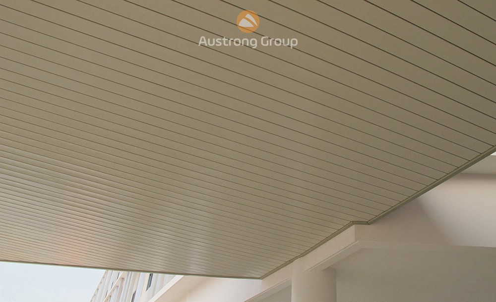 Aluminium Linear G-Shaped Ceiling