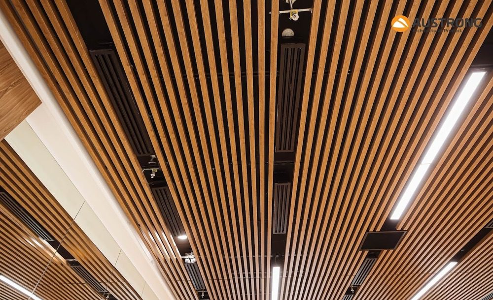 truong-quoc-te-emasi-long-an-10