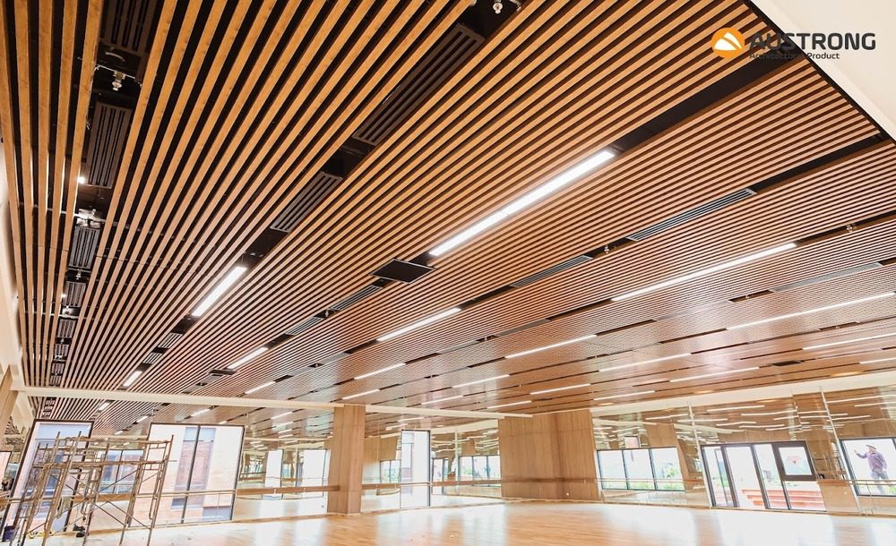 truong-quoc-te-emasi-long-an-11