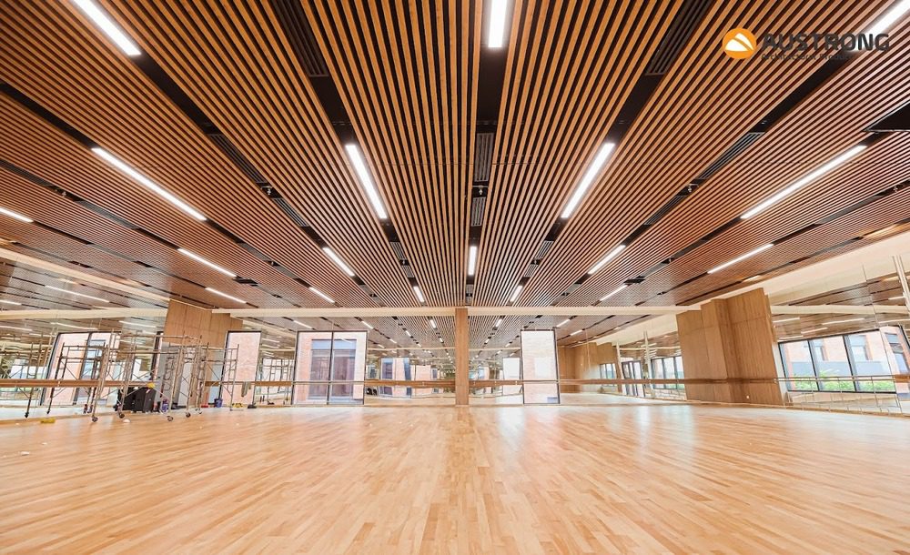 truong-quoc-te-emasi-long-an-12