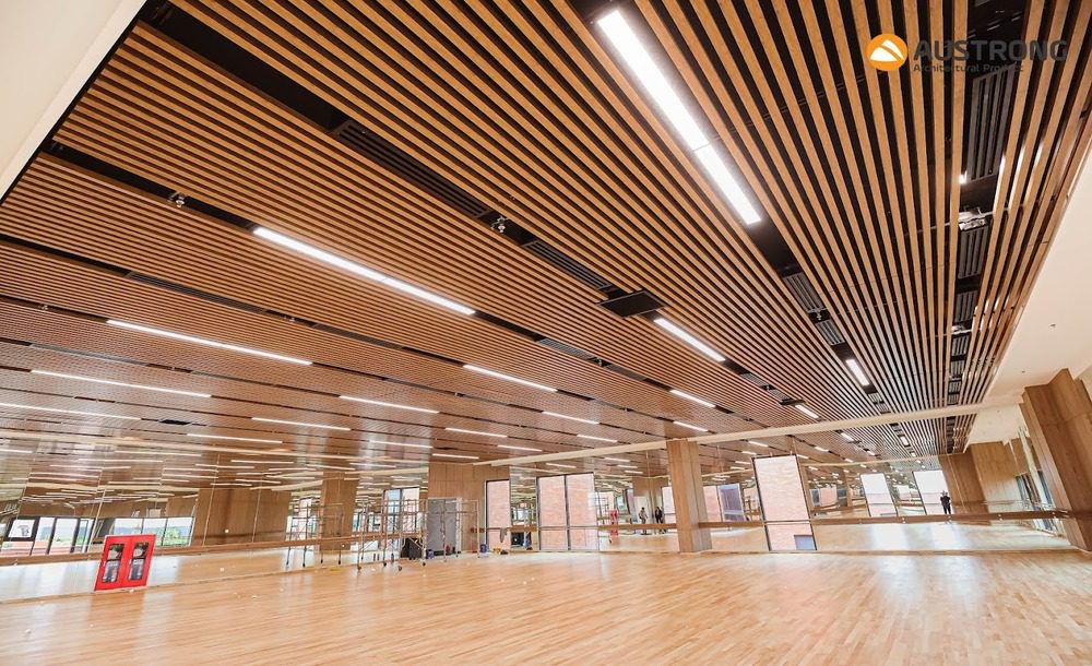 truong-quoc-te-emasi-long-an-13