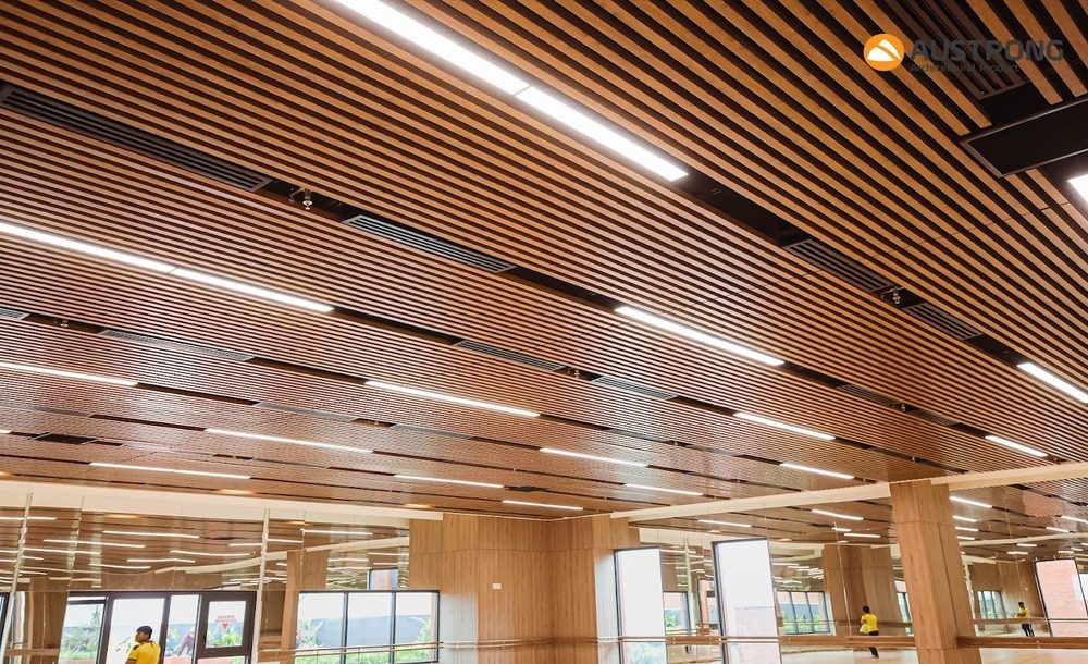 truong-quoc-te-emasi-long-an-14