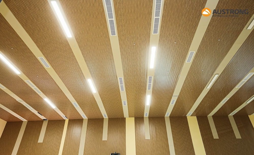 truong-quoc-te-emasi-long-an-8