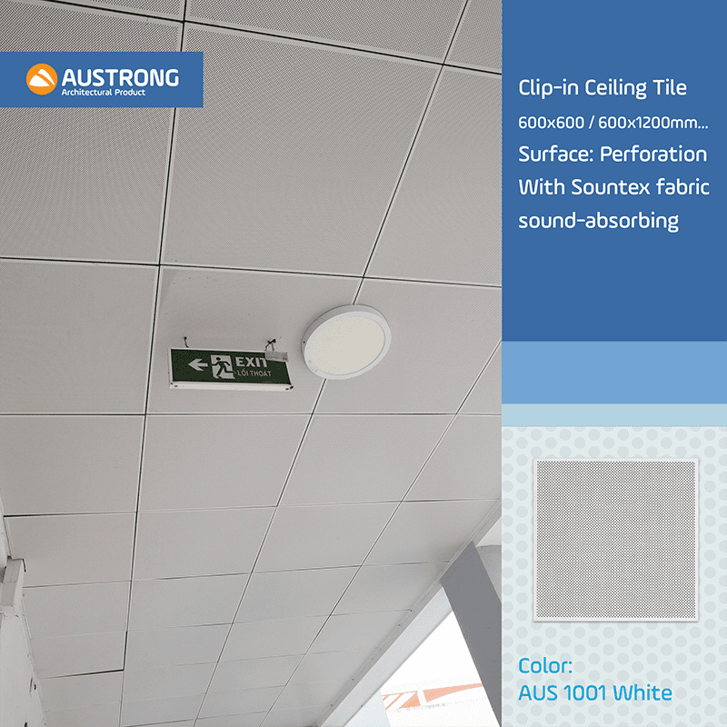 truong-thcs-thuong-cat-6