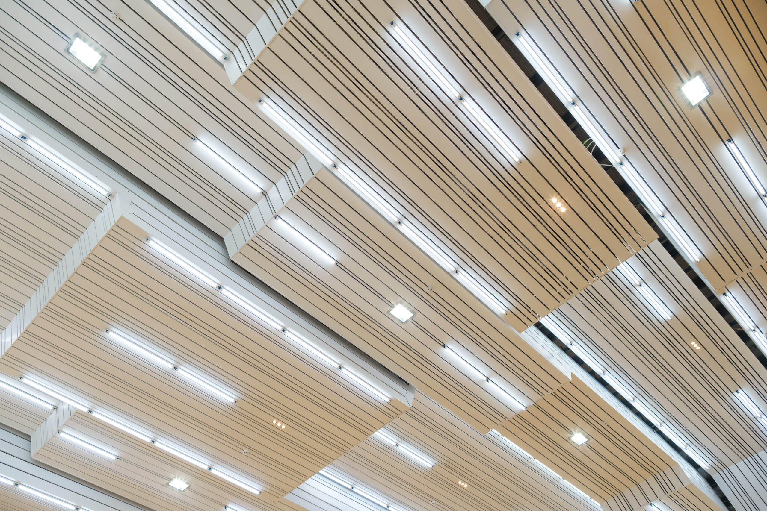 THCS LÊ QUÝ ĐÔN - LONG BIÊN 4