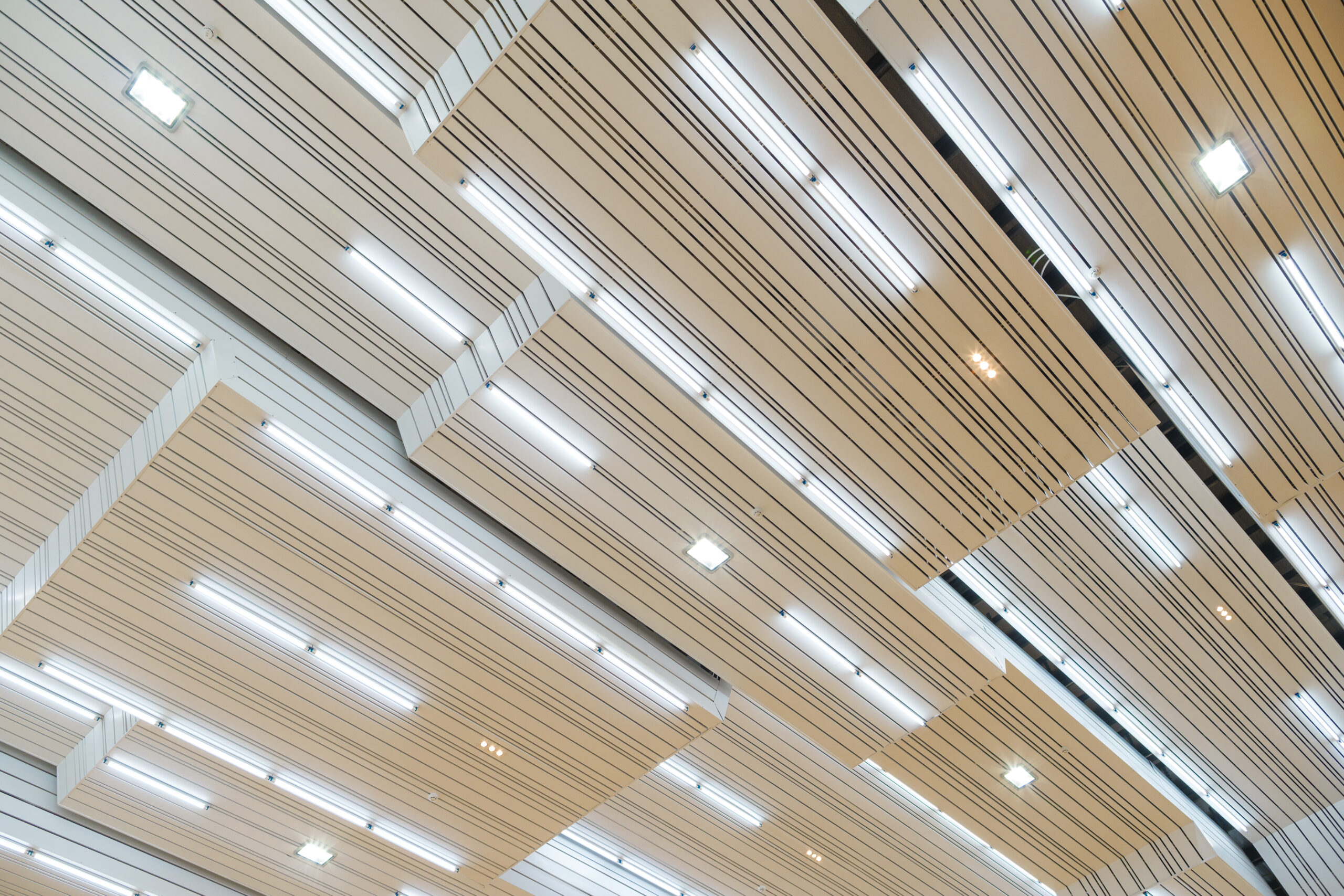 THCS LÊ QUÝ ĐÔN - LONG BIÊN 5