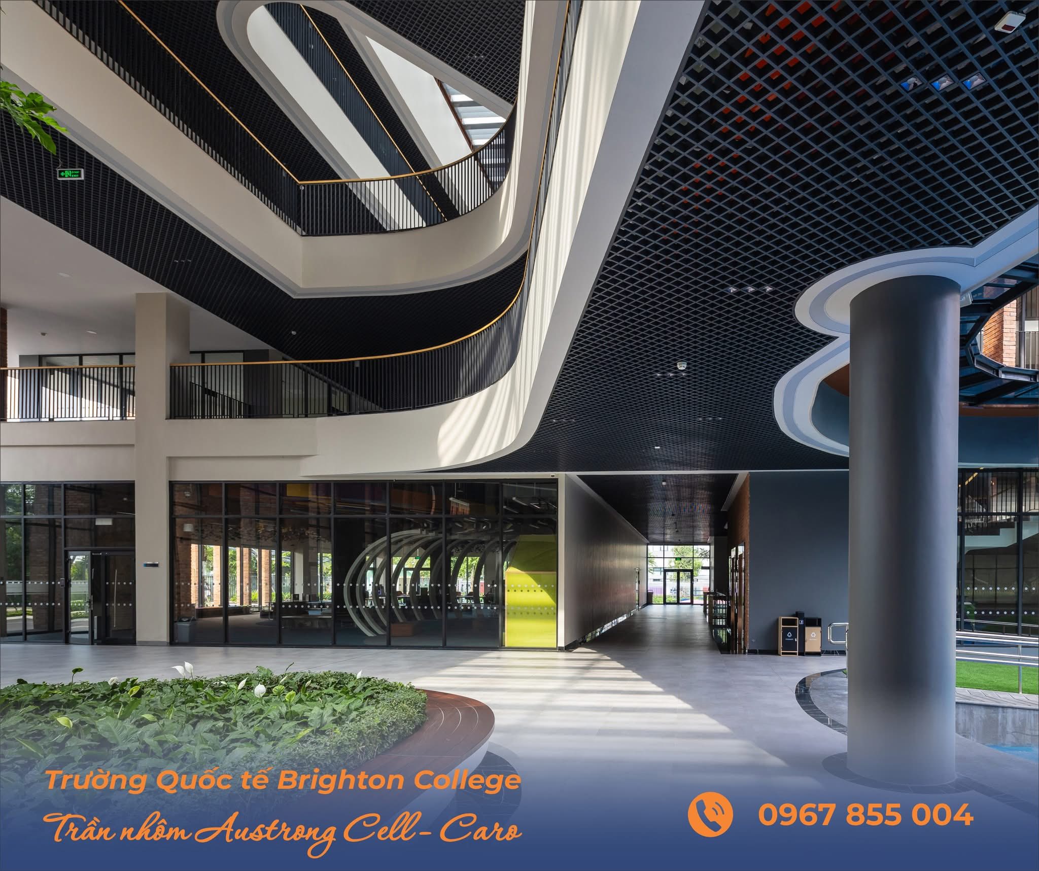 truong hop BRIGHTTON college 2