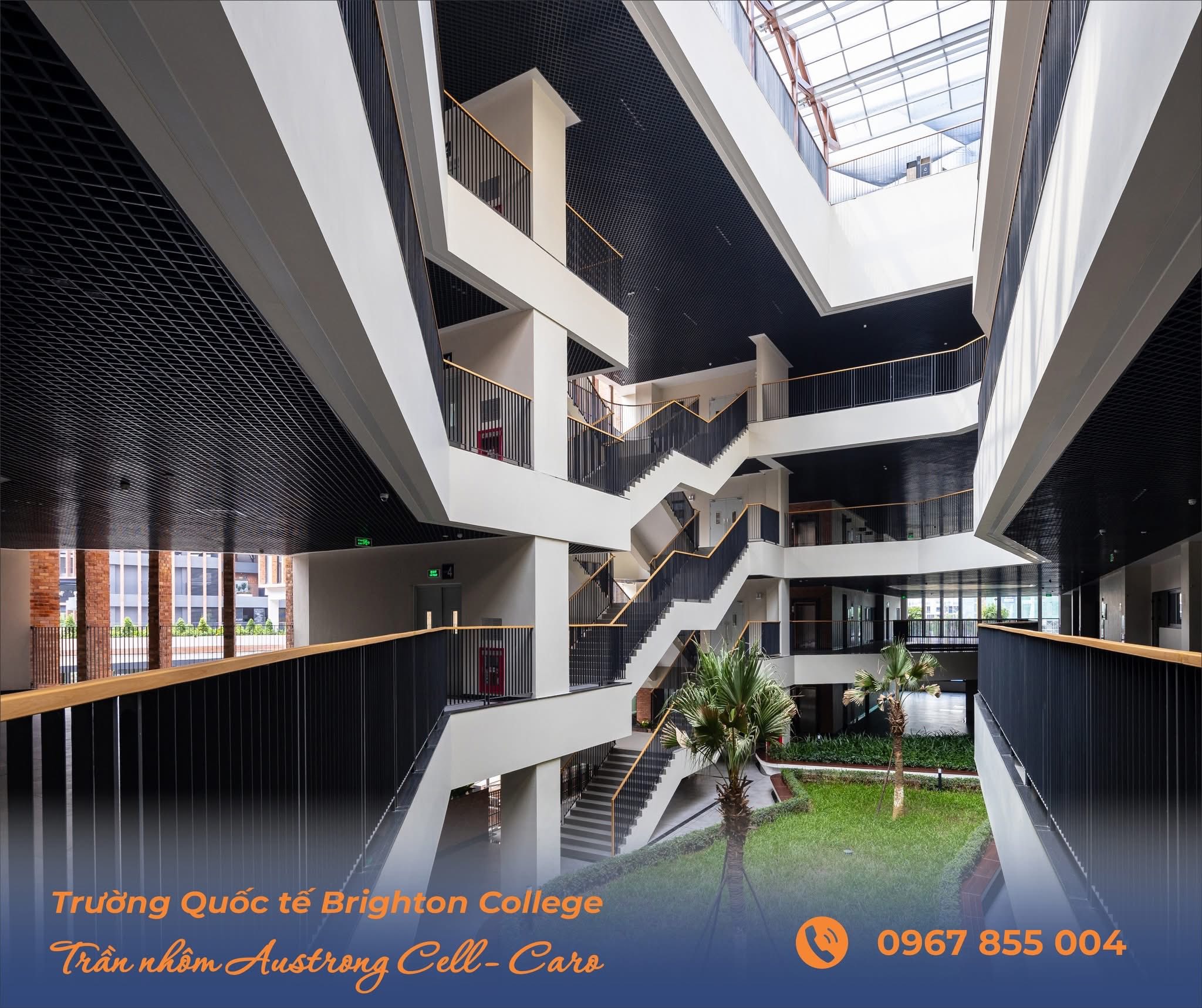 truong hop BRIGHTTON college 3