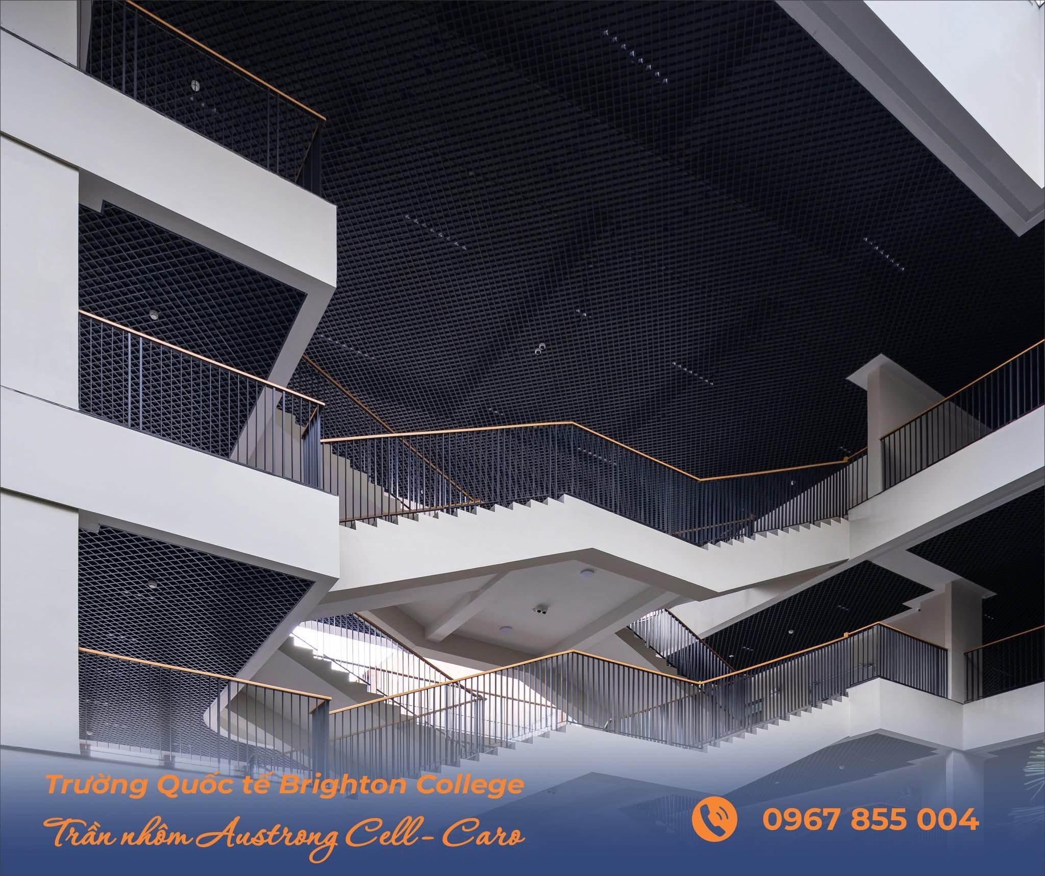 truong hop BRIGHTTON college 4