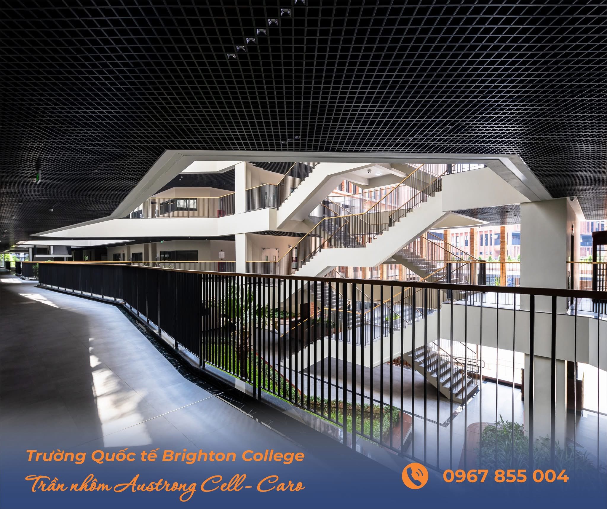 truong hop BRIGHTTON college 5