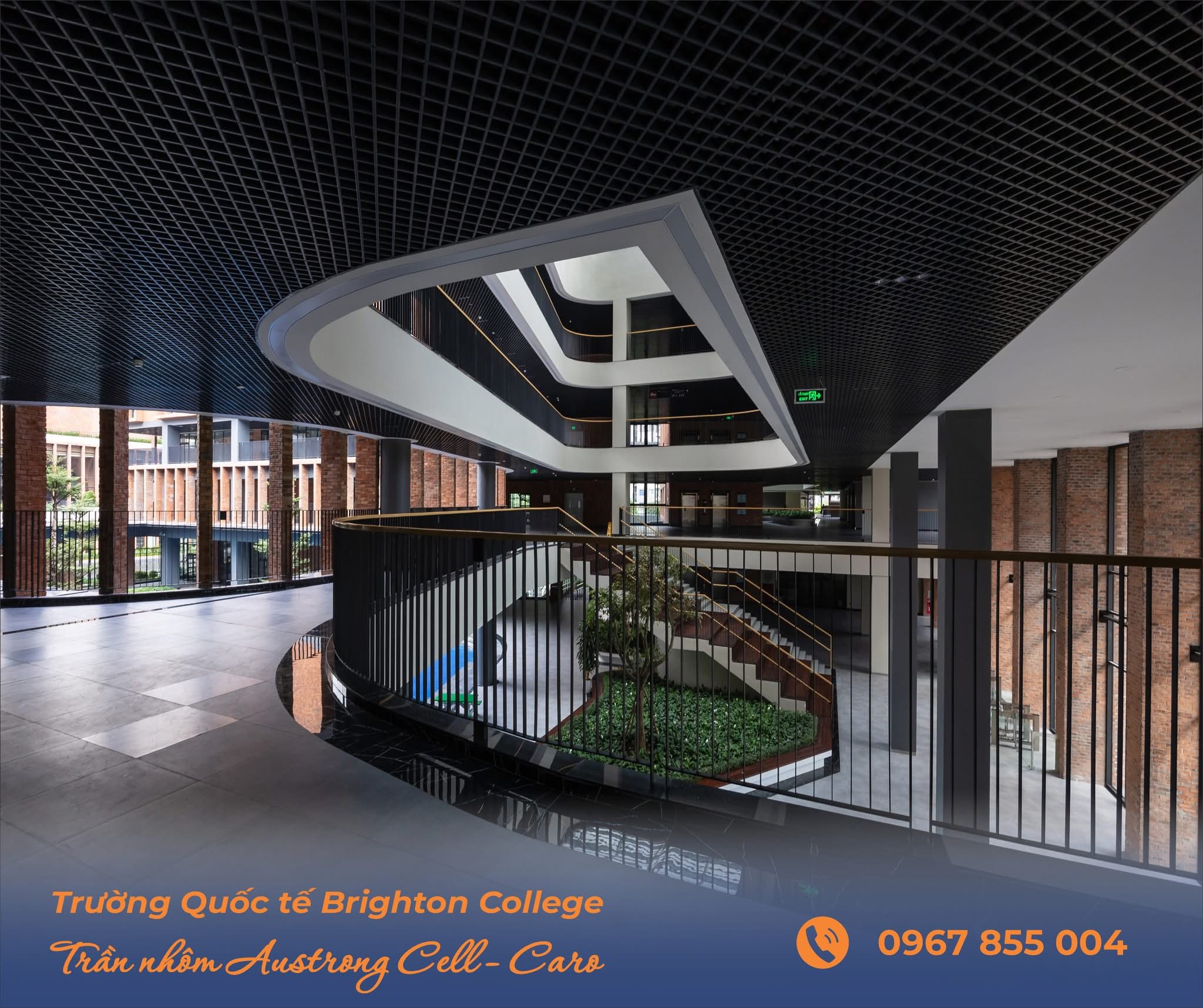 truong hop BRIGHTTON college 6