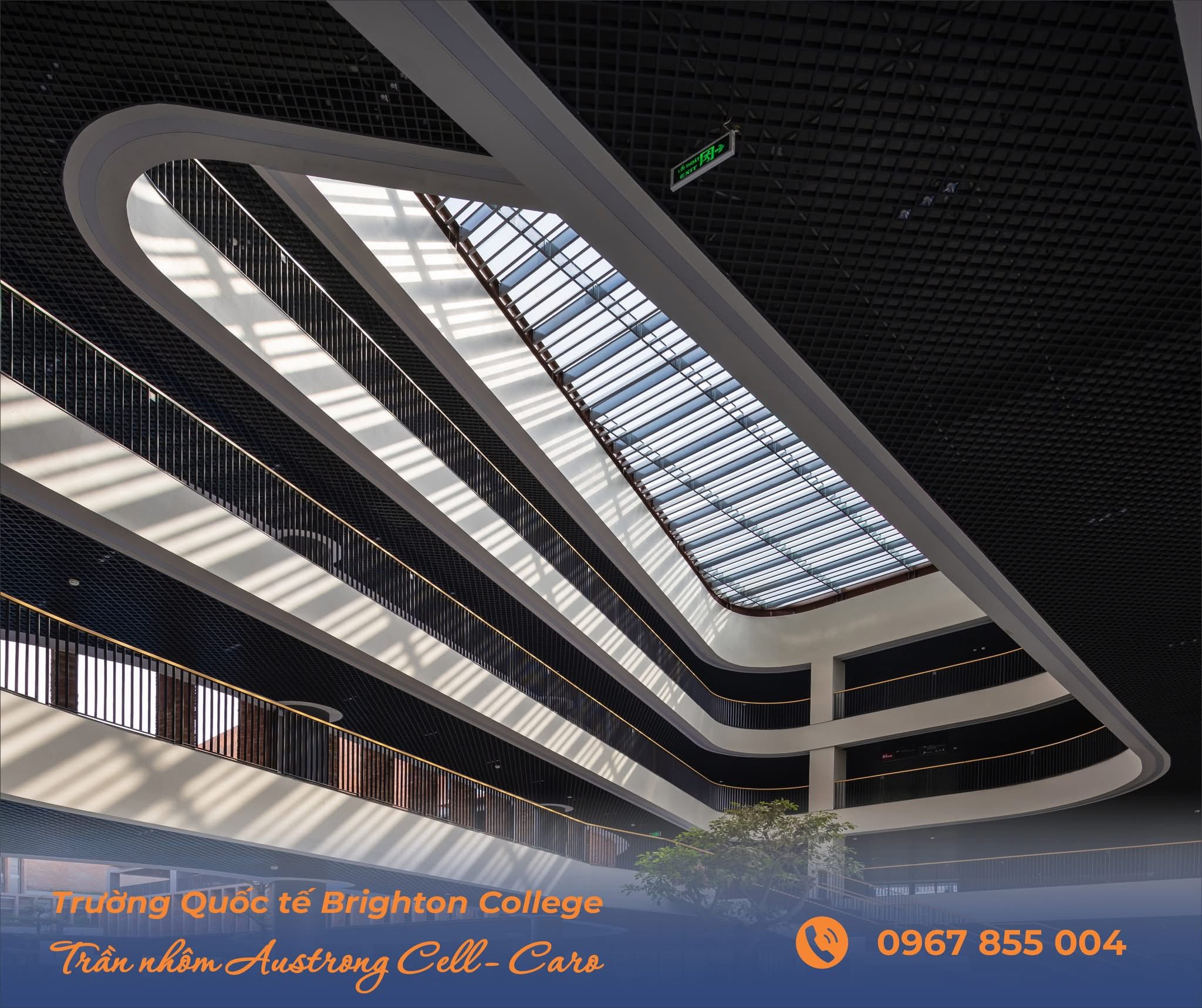 truong hop BRIGHTTON college 7