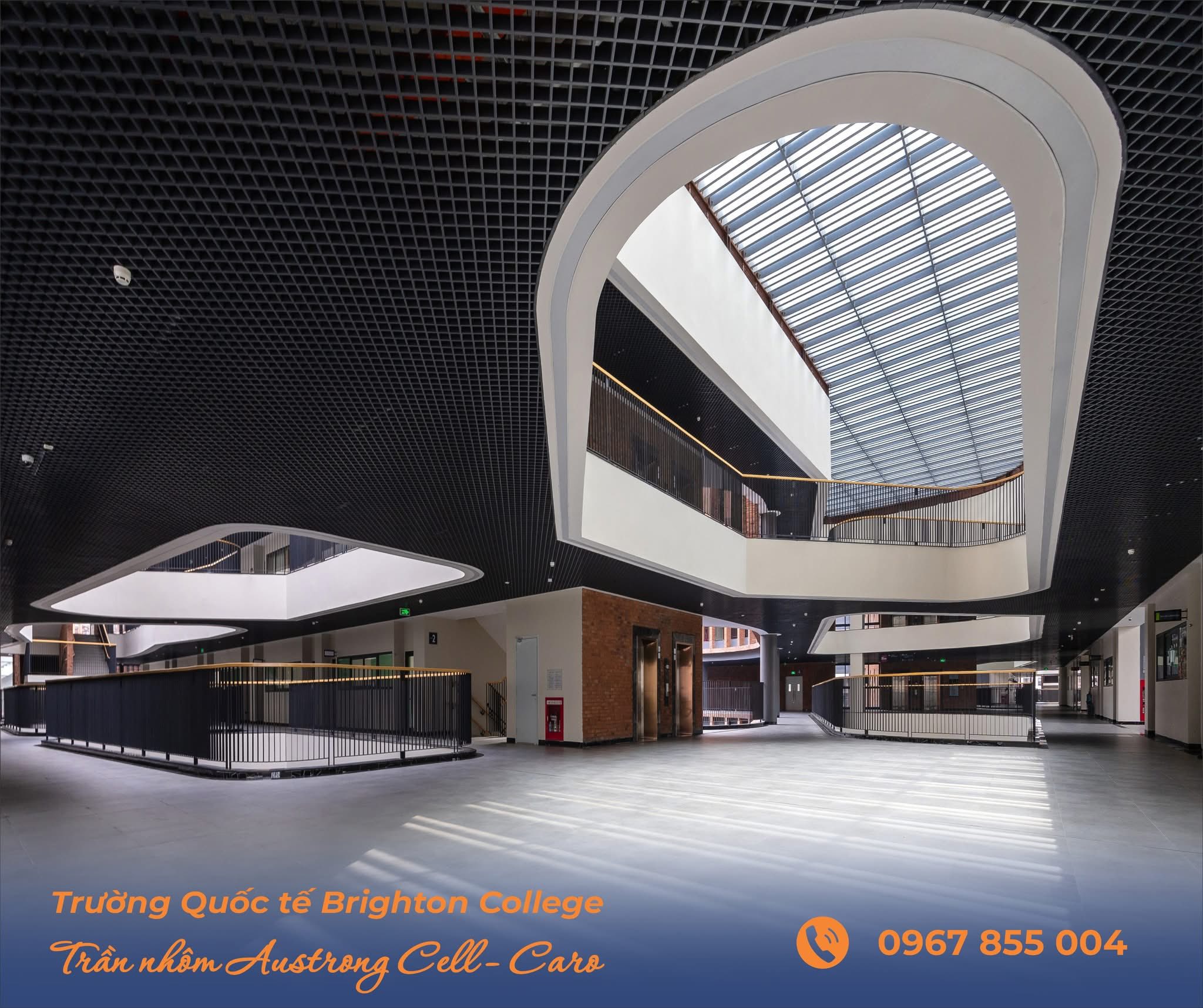 truong hop BRIGHTTON college 8