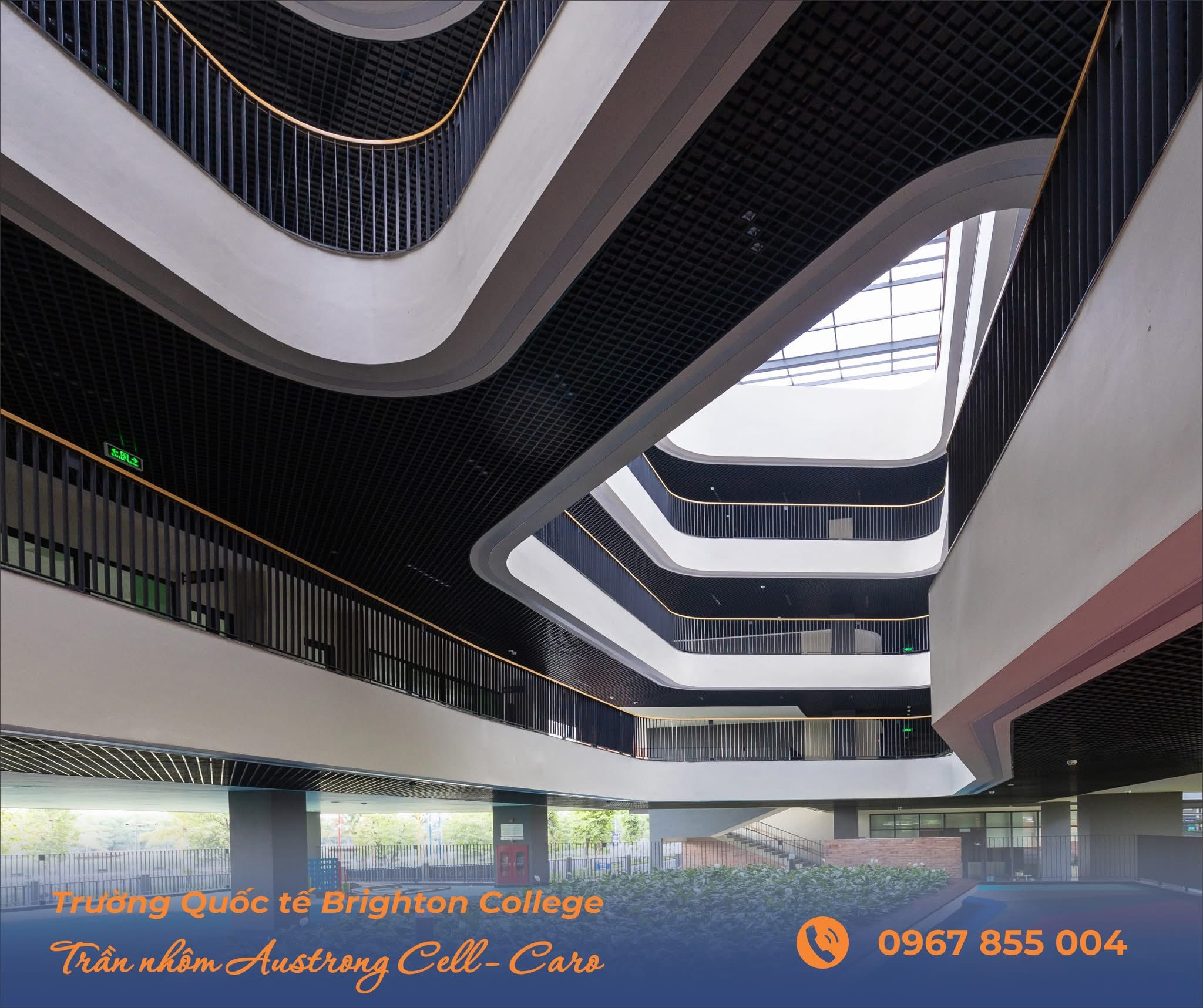 truong hop BRIGHTTON college 9